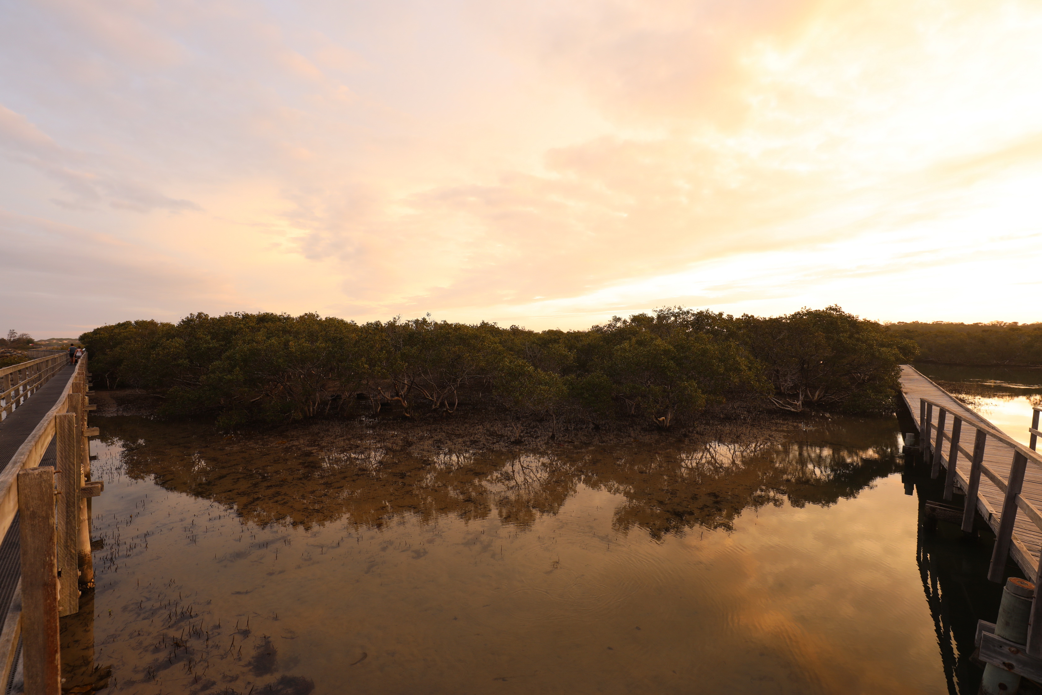 Urunga Boardwalk